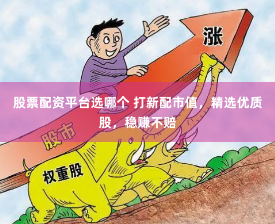 股票配资平台选哪个 打新配市值，精选优质股，稳赚不赔